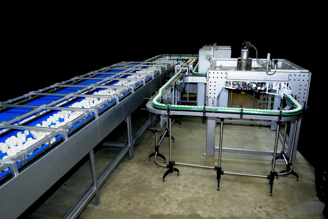 Specialized Conveying Systems
